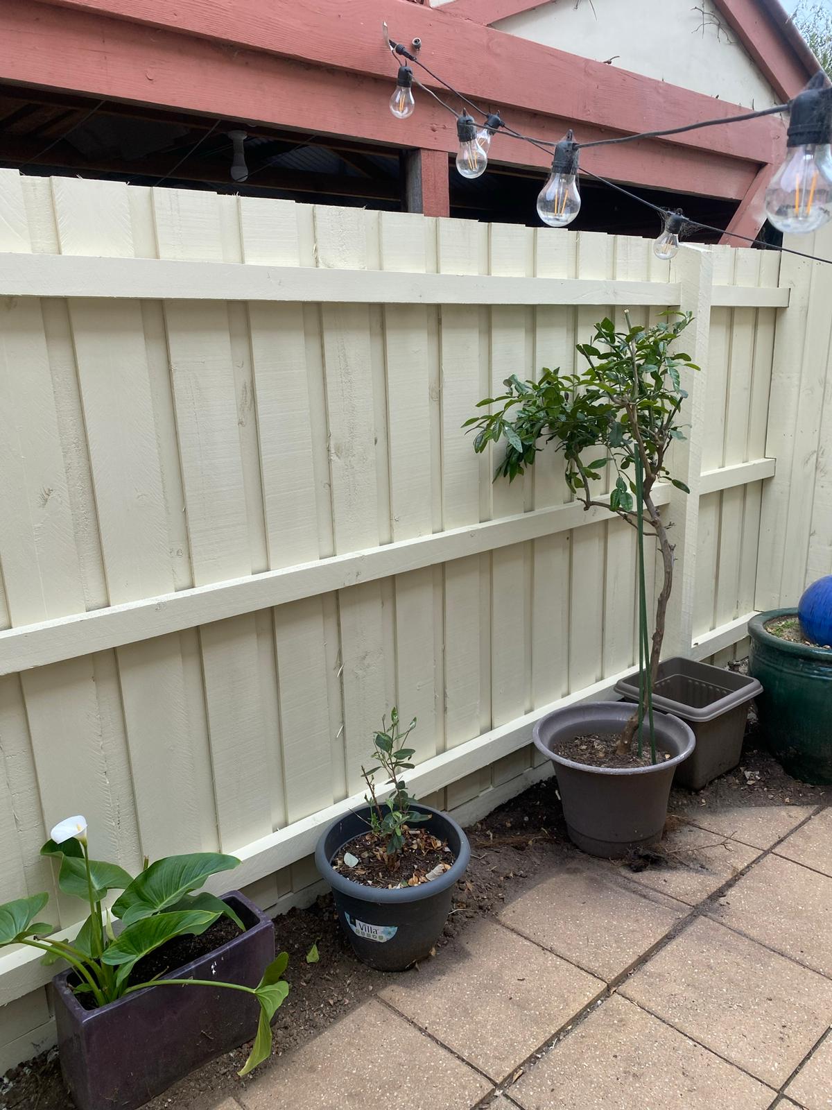 Best fence for your backyard in Melbourne